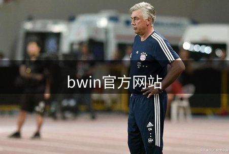 网站概况